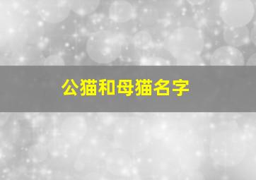 公猫和母猫名字