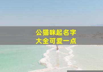 公猫咪起名字大全可爱一点