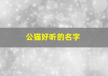 公猫好听的名字