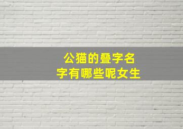 公猫的叠字名字有哪些呢女生