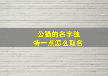 公猫的名字独特一点怎么取名