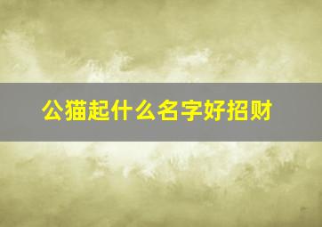 公猫起什么名字好招财