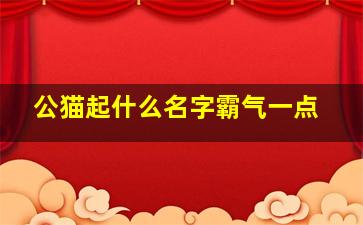 公猫起什么名字霸气一点