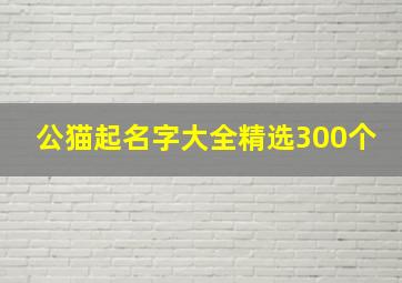 公猫起名字大全精选300个