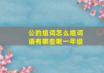 公的组词怎么组词语有哪些呢一年级