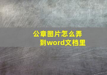 公章图片怎么弄到word文档里