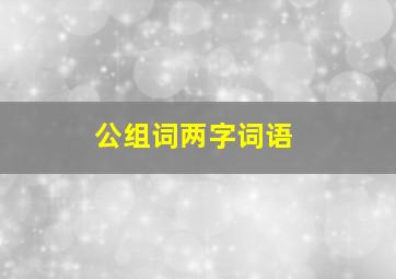 公组词两字词语