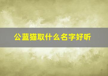 公蓝猫取什么名字好听