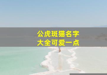 公虎斑猫名字大全可爱一点