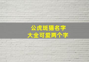 公虎斑猫名字大全可爱两个字