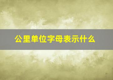 公里单位字母表示什么