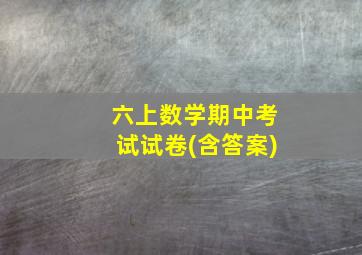 六上数学期中考试试卷(含答案)