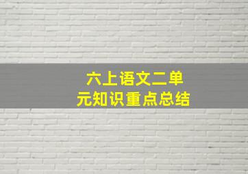 六上语文二单元知识重点总结