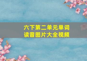 六下第二单元单词读音图片大全视频