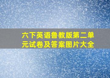 六下英语鲁教版第二单元试卷及答案图片大全