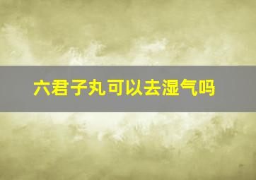 六君子丸可以去湿气吗