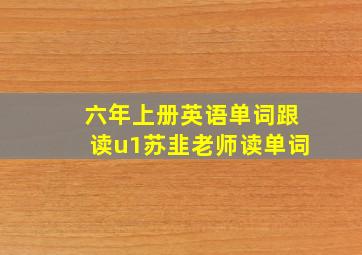 六年上册英语单词跟读u1苏韭老师读单词