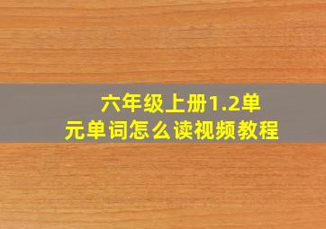 六年级上册1.2单元单词怎么读视频教程