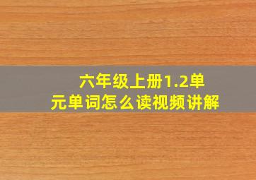 六年级上册1.2单元单词怎么读视频讲解