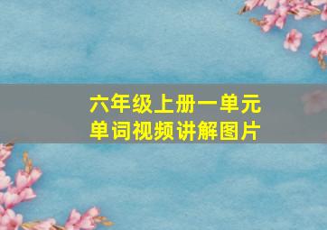 六年级上册一单元单词视频讲解图片