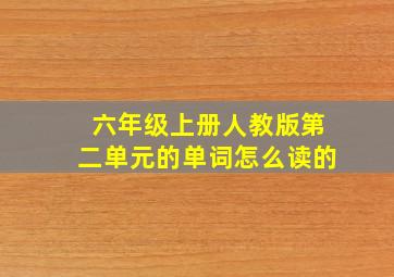 六年级上册人教版第二单元的单词怎么读的