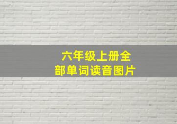 六年级上册全部单词读音图片