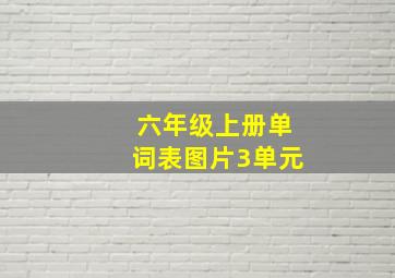 六年级上册单词表图片3单元