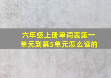 六年级上册单词表第一单元到第5单元怎么读的