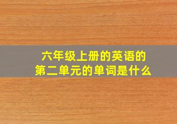 六年级上册的英语的第二单元的单词是什么