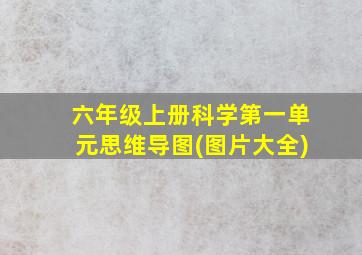 六年级上册科学第一单元思维导图(图片大全)