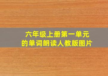 六年级上册第一单元的单词朗读人教版图片