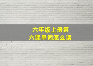 六年级上册第六课单词怎么读