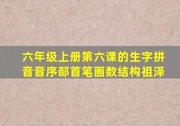 六年级上册第六课的生字拼音音序部首笔画数结构祖泽