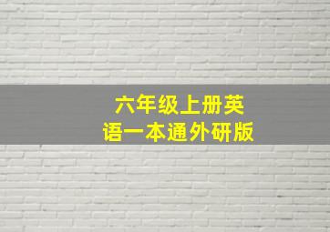 六年级上册英语一本通外研版