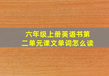 六年级上册英语书第二单元课文单词怎么读