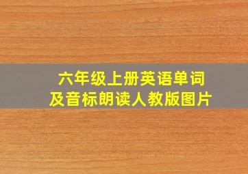 六年级上册英语单词及音标朗读人教版图片