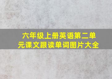 六年级上册英语第二单元课文跟读单词图片大全