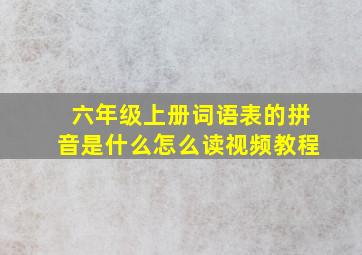 六年级上册词语表的拼音是什么怎么读视频教程