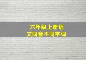 六年级上册语文同音不同字词