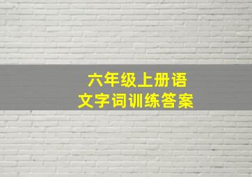 六年级上册语文字词训练答案