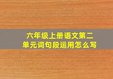 六年级上册语文第二单元词句段运用怎么写