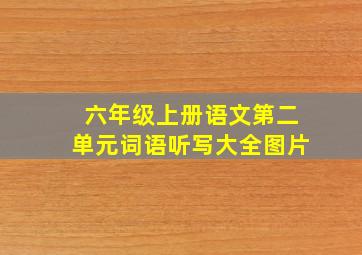 六年级上册语文第二单元词语听写大全图片