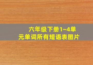 六年级下册1~4单元单词所有短语表图片