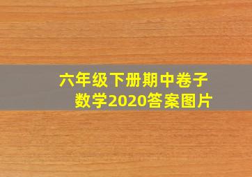 六年级下册期中卷子数学2020答案图片