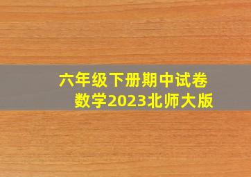 六年级下册期中试卷数学2023北师大版