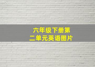 六年级下册第二单元英语图片