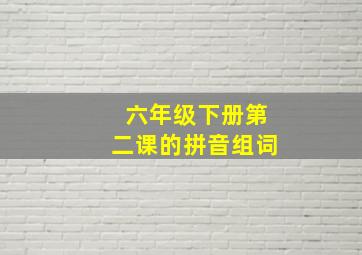 六年级下册第二课的拼音组词