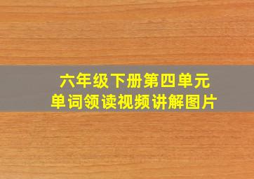 六年级下册第四单元单词领读视频讲解图片