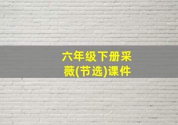 六年级下册采薇(节选)课件