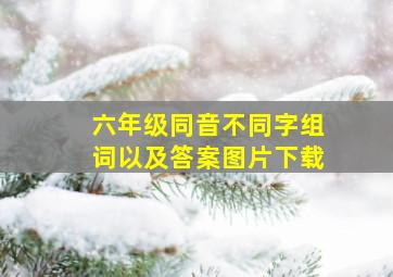 六年级同音不同字组词以及答案图片下载